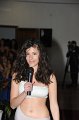Casting Miss Italia 25.3.2012 (960)